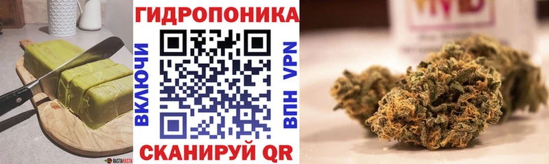где найти   Котлас  KRAKEN маркетплейс  Cannafood конопля 