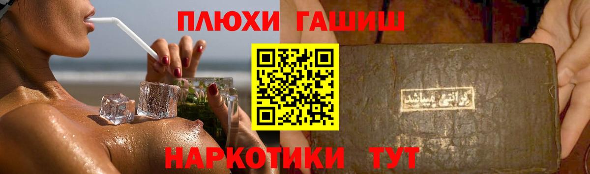 Котлас  ГАШИШ  Вход с VPN  ГАШ Изолятор  ГАШ ice o lator 