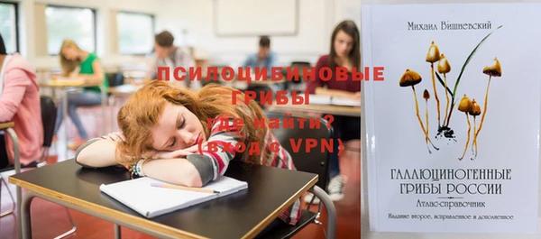 мяу мяу мука Алексеевка