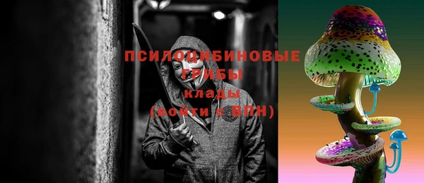 спиды Абаза