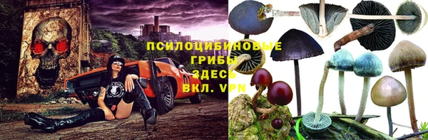 трава Алзамай
