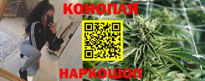 мяу мяу мука Краснодар