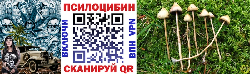 Галлюциногенные грибы MAGIC MUSHROOMS  Котлас 