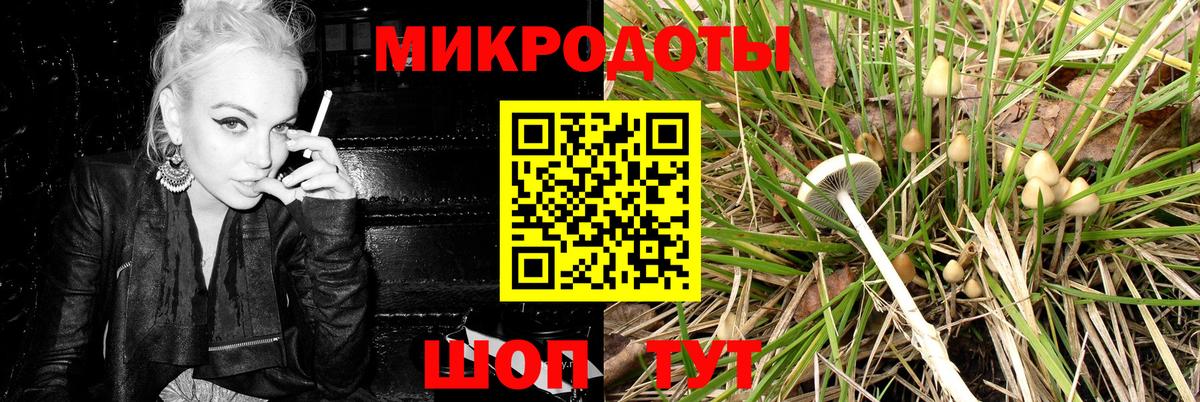 Галлюциногенные грибы Psilocybine cubensis  Псилоцибиновые грибы ЛСД  Котлас  Вход с VPN 