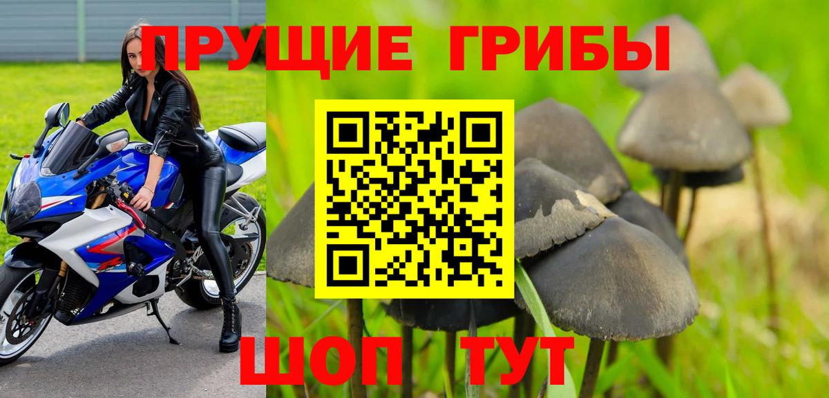 Галлюциногенные грибы мицелий Котлас
